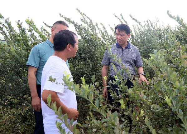 丁雄军率队调研茅台生态农业公司