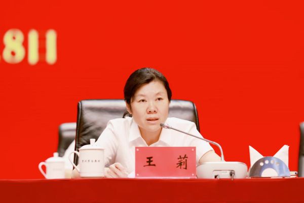 王莉主持会议