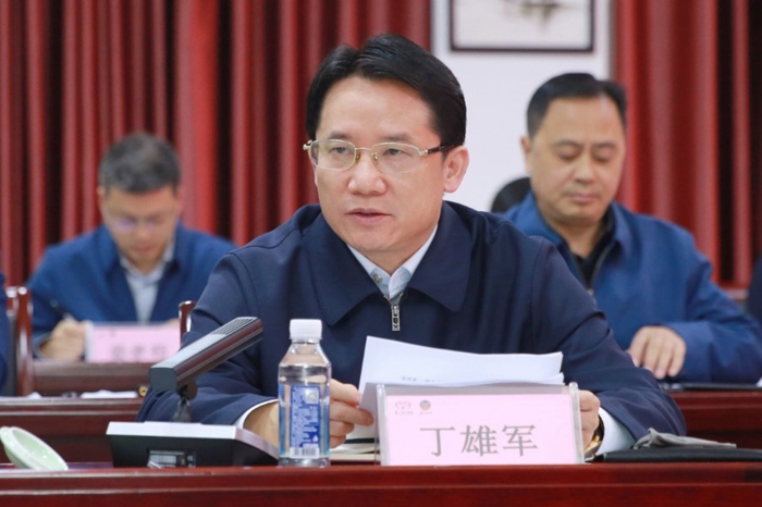 丁雄军讲话