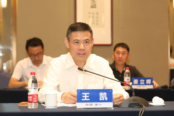 王凯讲话