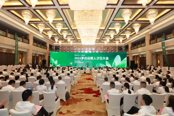 图片7