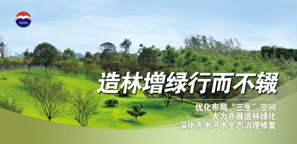 4造林增绿
