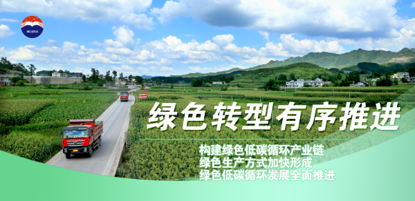 6绿色转型2