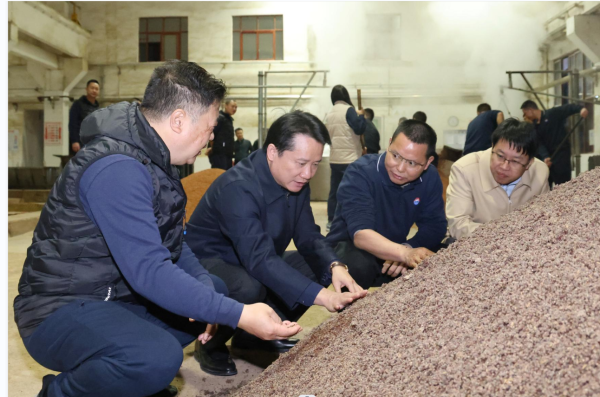 丁雄军查看堆积发酵情况