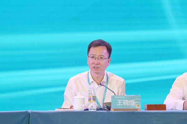 图片16
